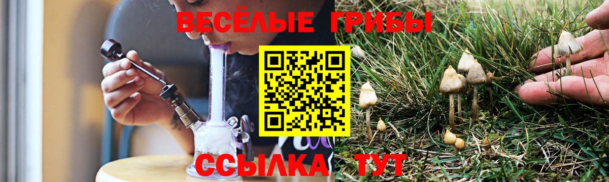 Псилоцибиновые грибы Cubensis Сибай